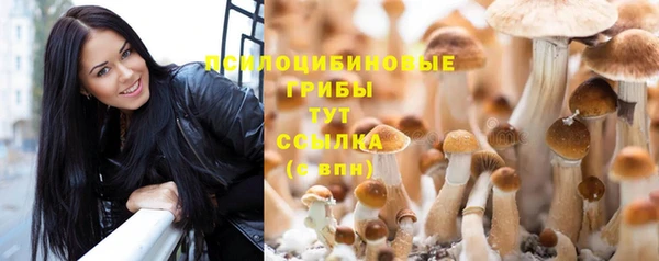 MDMA Дубна