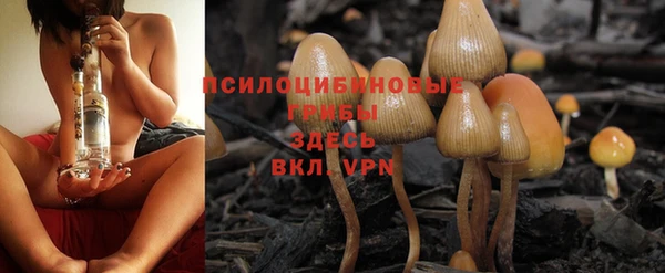 MDMA Дубна