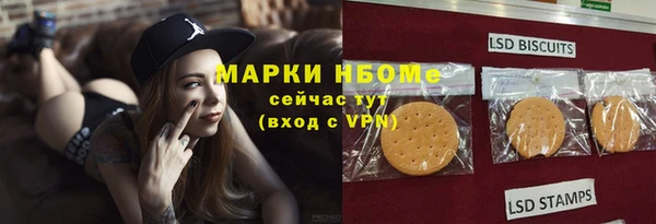 индика Дрезна