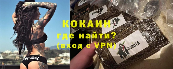 индика Дрезна