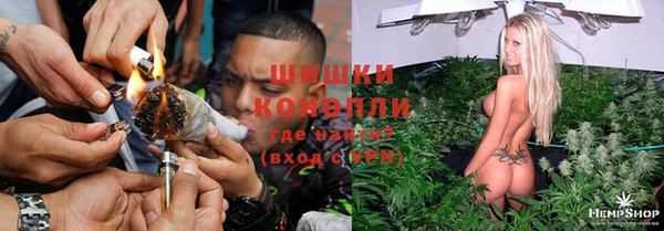 индика Дрезна