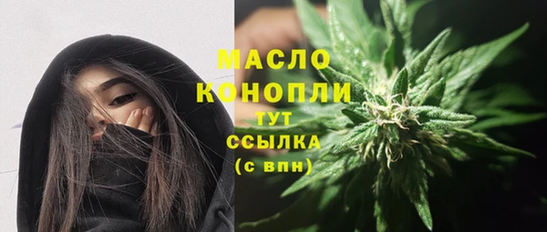индика Дрезна