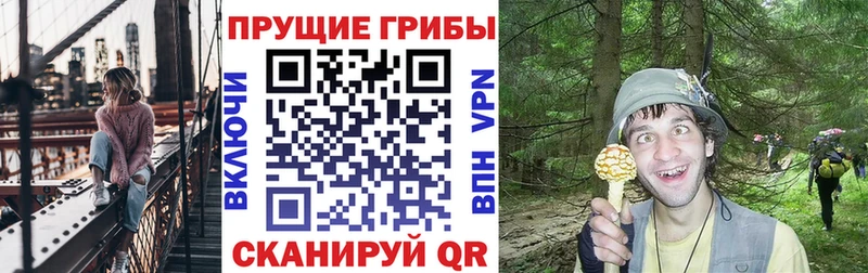 сайты даркнета состав  Кашин  кракен tor  Галлюциногенные грибы Psilocybe  где найти  